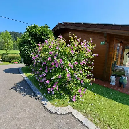 Ferienhaus Sonnenschein Apartment